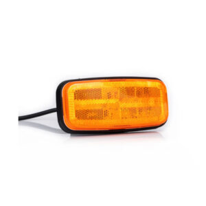 Position light with indicators